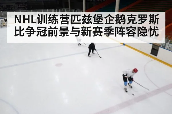 NHL训练营匹兹堡企鹅克罗斯比争冠前景与新赛季阵容隐忧