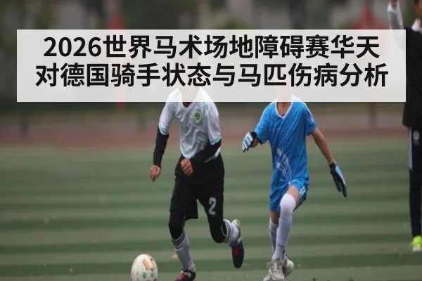2026世界马术场地障碍赛华天对德国骑手状态与马匹伤病分析
